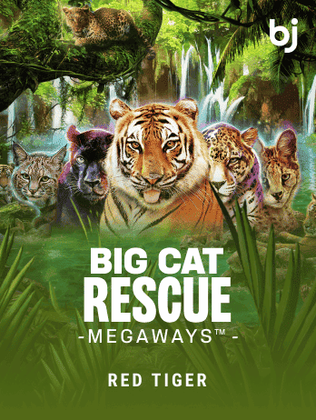 Big Cat Rescue Megaways™ game thumbnail